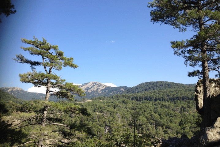 randonnée en Corse - golfe de Porto