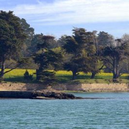 semaine du golfe du Morbihan 2019