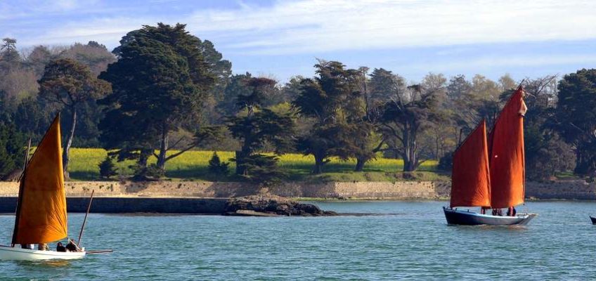 semaine du golfe du Morbihan 2019