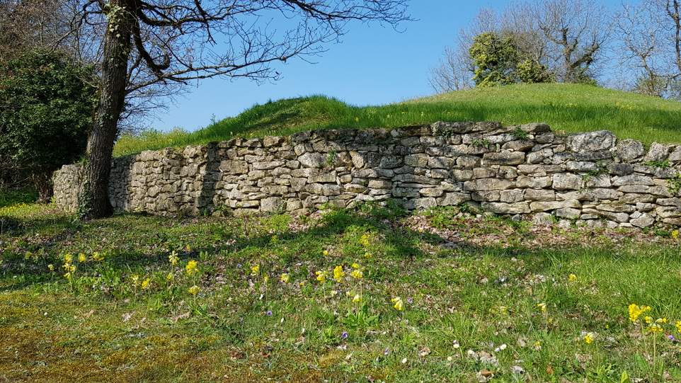 visite des tumulus de Bougon dans les Deux-Sèvres