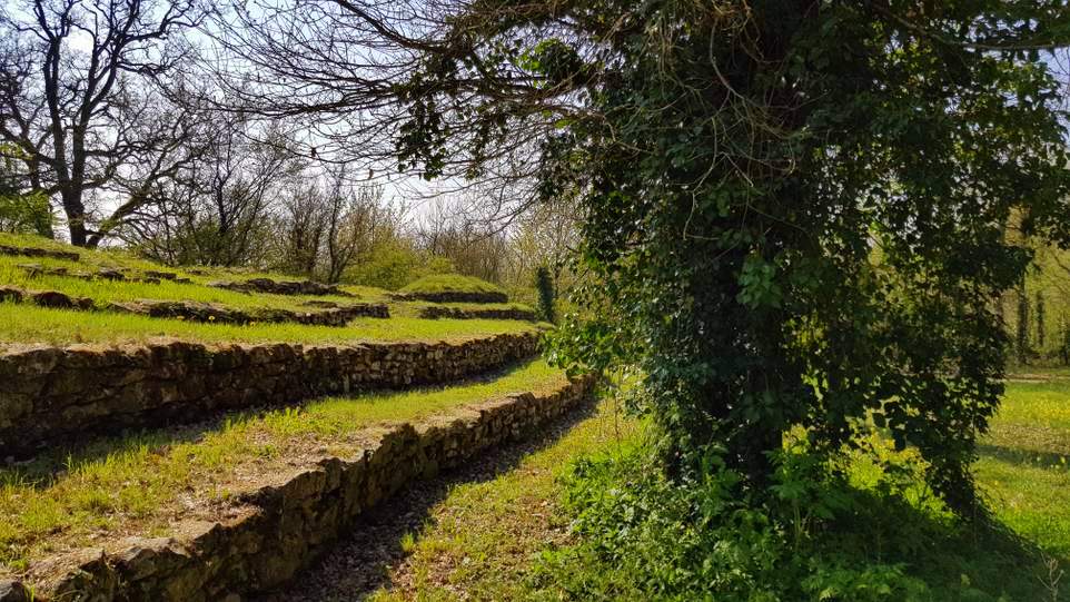 visite des tumulus de Bougon dans les Deux-Sèvres