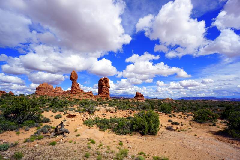 camping-car dans l'Ouest américain - arches national park