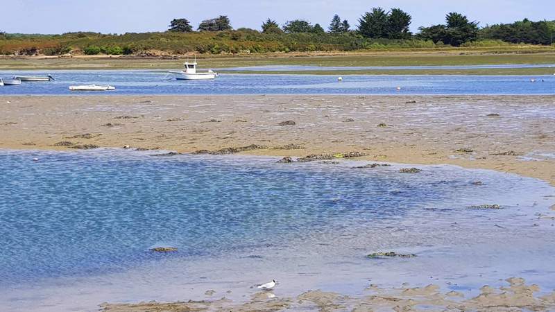 île de Saint Cado dans le Morbihan