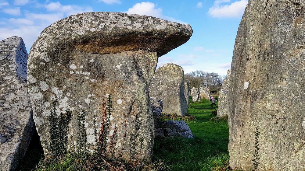 alignements de Kerzérho dans le Morbihan