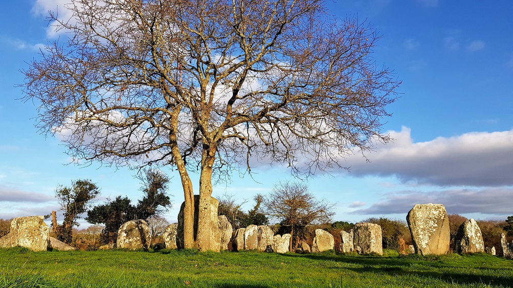 alignements de Kerzérho dans le Morbihan