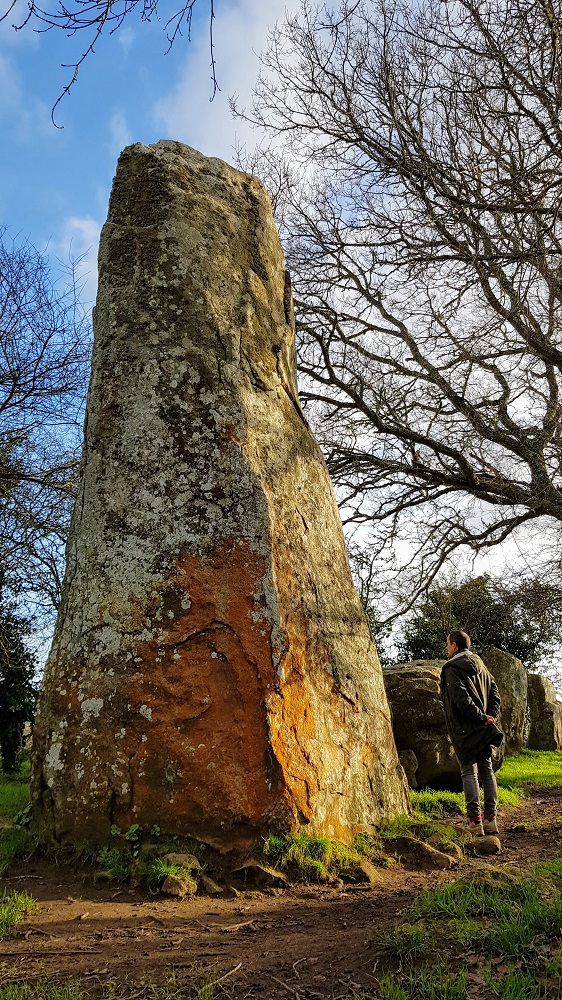 alignements de Kerzérho dans le Morbihan