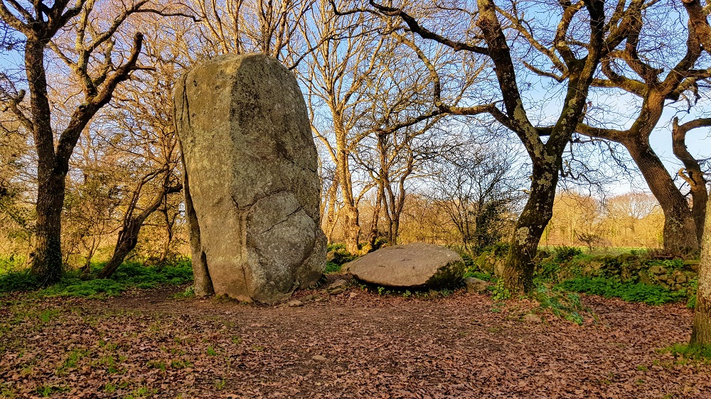 alignements de Kerzérho dans le Morbihan