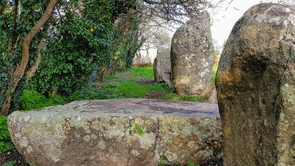 alignements de Kerzérho dans le Morbihan