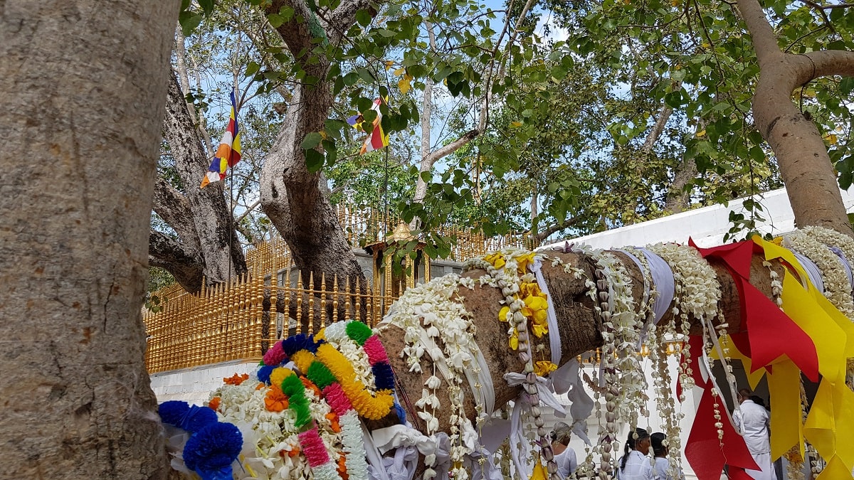 15 jours au Sri Lanka - Anuradhapura