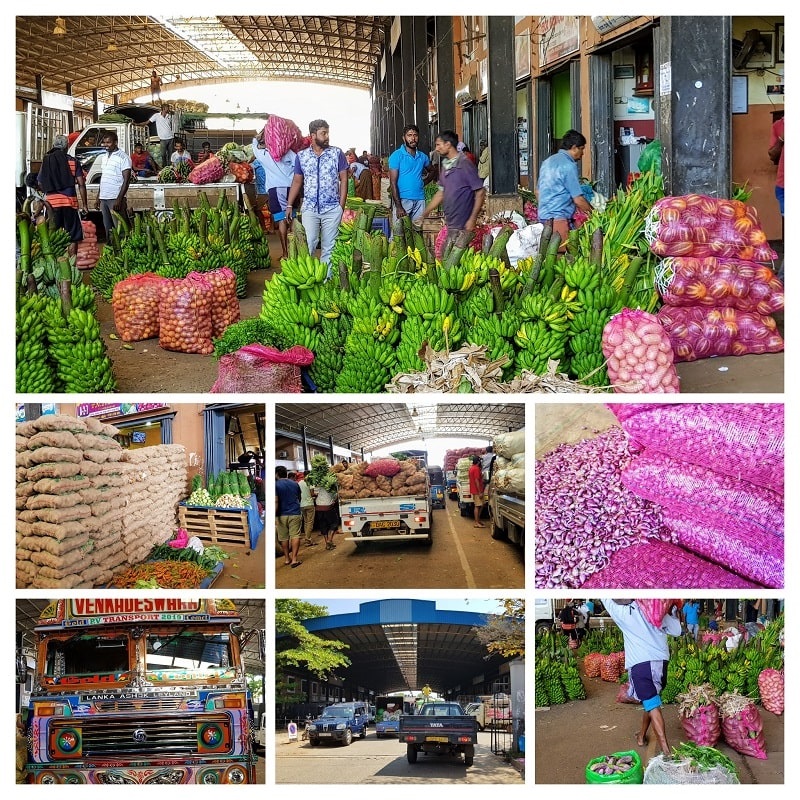 15 jours au Sri Lanka - marchés aux légumes Dambulla