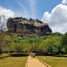 15 jours au Sri Lanka