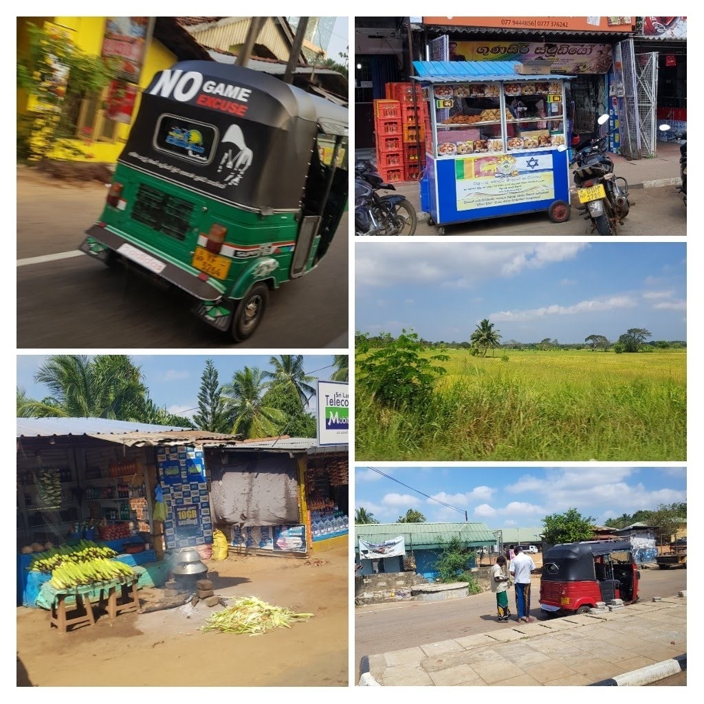 15 jours au Sri Lanka - sur la route