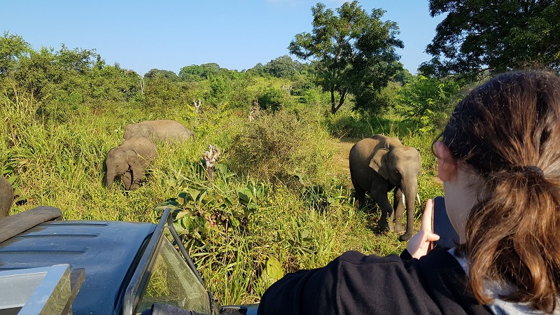 15 jours au Sri Lanka safari en famille