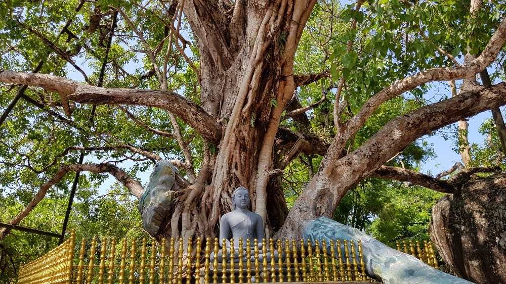 temple Yatagala Raja Maha Viharaya à Unawatuna