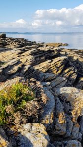 Quiberon : pointe du Conguel