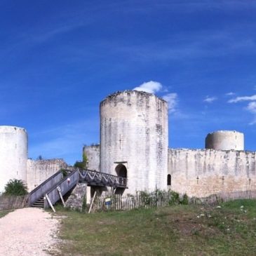 Visite du château du Coudray-Salbart
