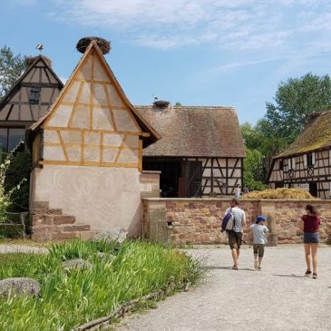 10 endroits à visiter en Alsace en famille