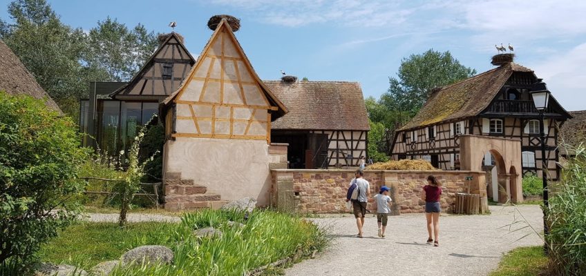 visite éco-musée d'Alsace en famille - visite Alsace famille