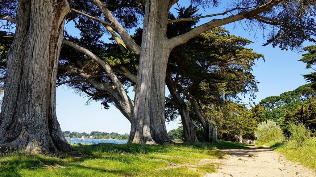 Golfe du Morbihan - balade à la pointe de Penboch