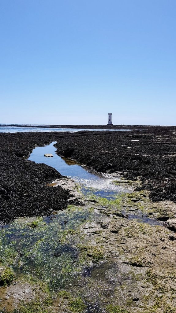 Tour des Anglais randonnée presqu'île de Pénerf - Damgan - Morbihan