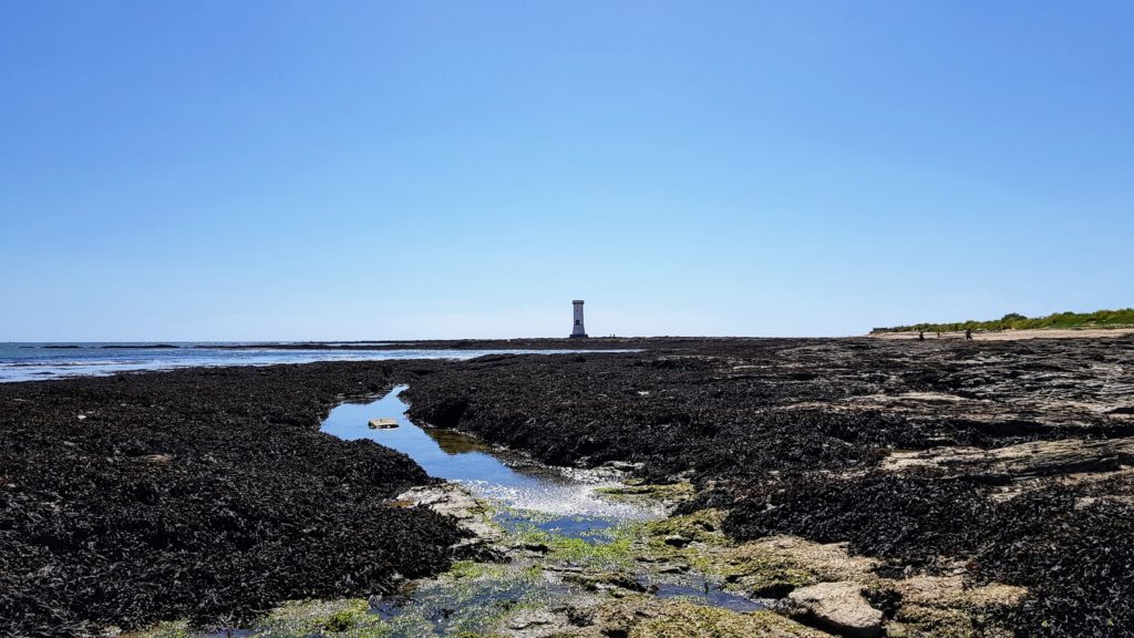 randonnée presqu'île de Pénerf - Damgan - Tour des Anglais