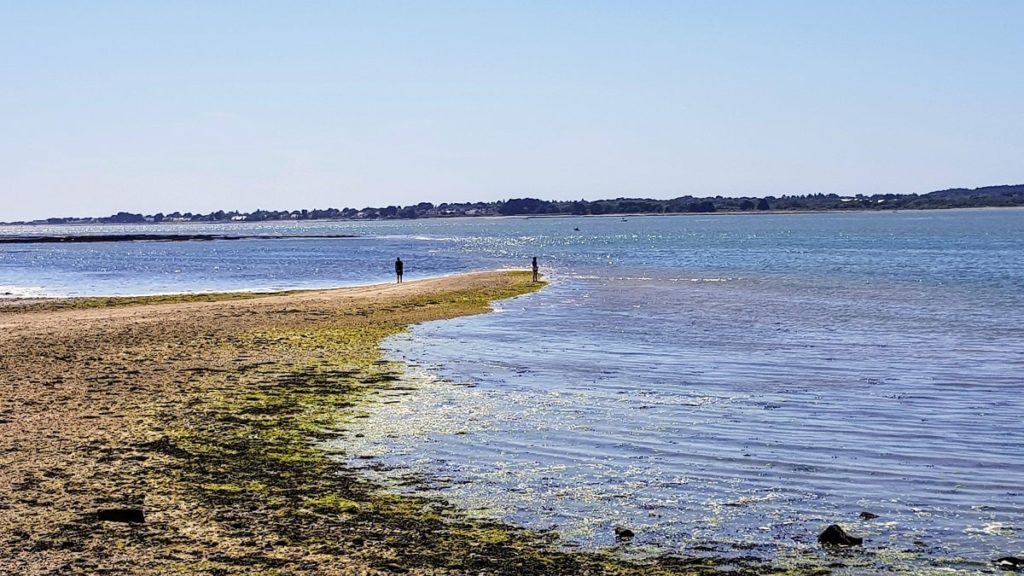 randonnée presqu'île de Pénerf - Damgan - Morbihan