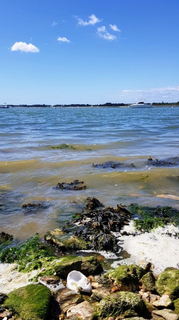 randonnée presqu'île de Pénerf - Damgan - Morbihan