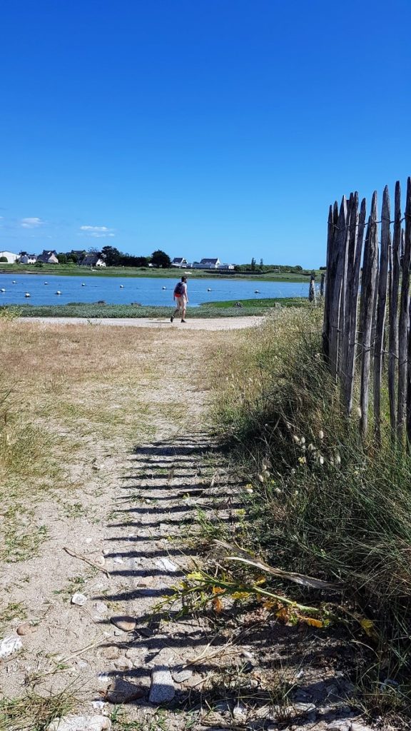 randonnée presqu'île de Pénerf - Damgan - Morbihan