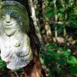 arboretum parc des sculptures Mare au Poivre Locqueltas
