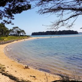 plus belles plages du Golfe du Morbihan : Les Sept îles