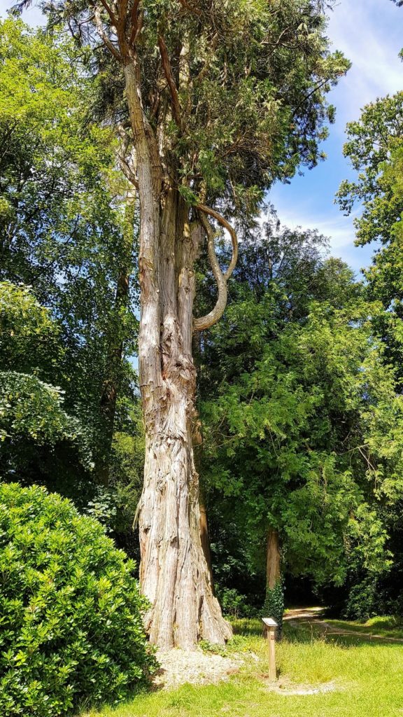 oeuvre monumentale - domaine de Kerguéhennec - arboretum