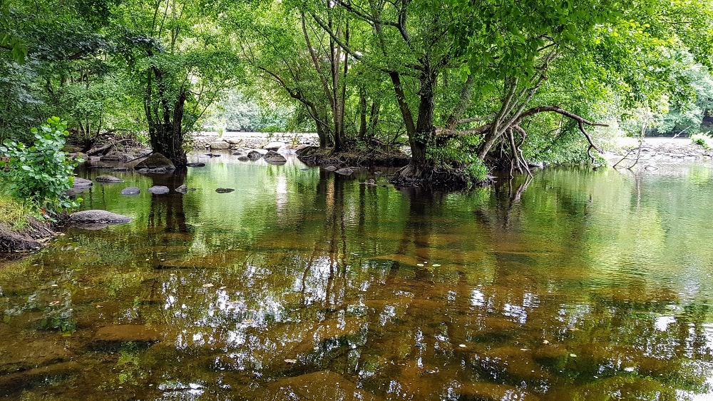 Clisson : domaine la Garenne Lemot - bains de Diane