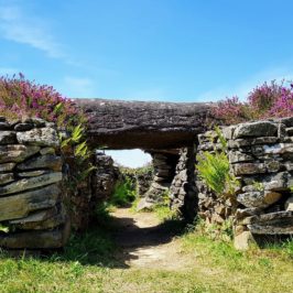 voyage dans les landes de Lanvaux - Mys Terre dans le Golfe du Morbihan