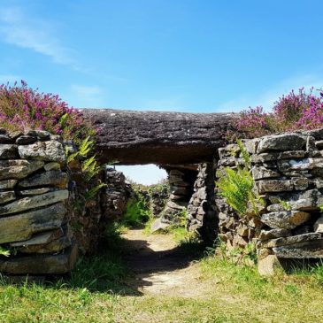 Landes de Lanvaux : Mys’Terre du Golfe