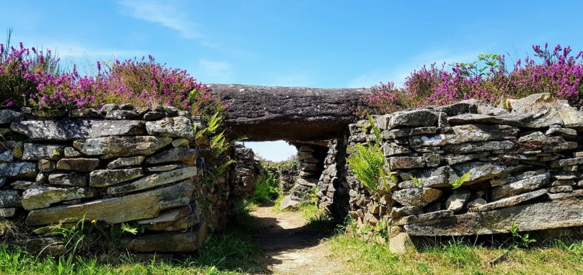 voyage dans les landes de Lanvaux - Mys Terre dans le Golfe du Morbihan