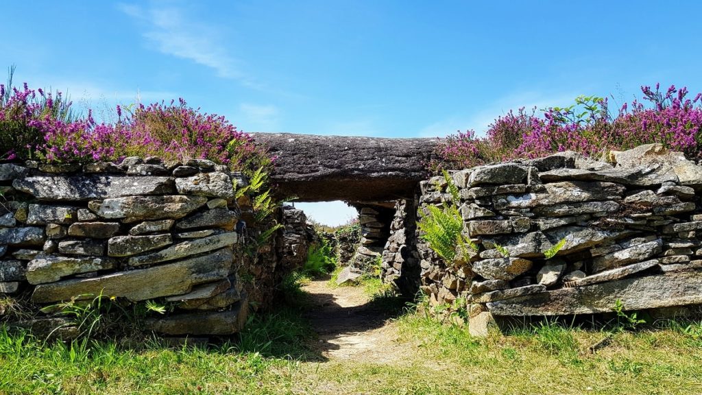 voyage dans les landes de Lanvaux - Mys Terre dans le Golfe du Morbihan