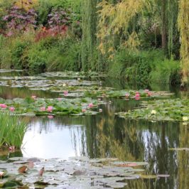 Jardins de Giverny