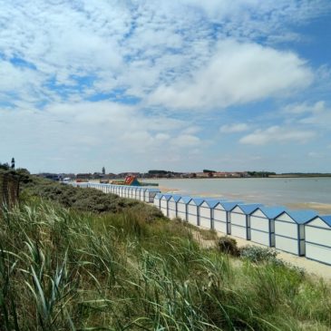 Que faire à Gravelines ?