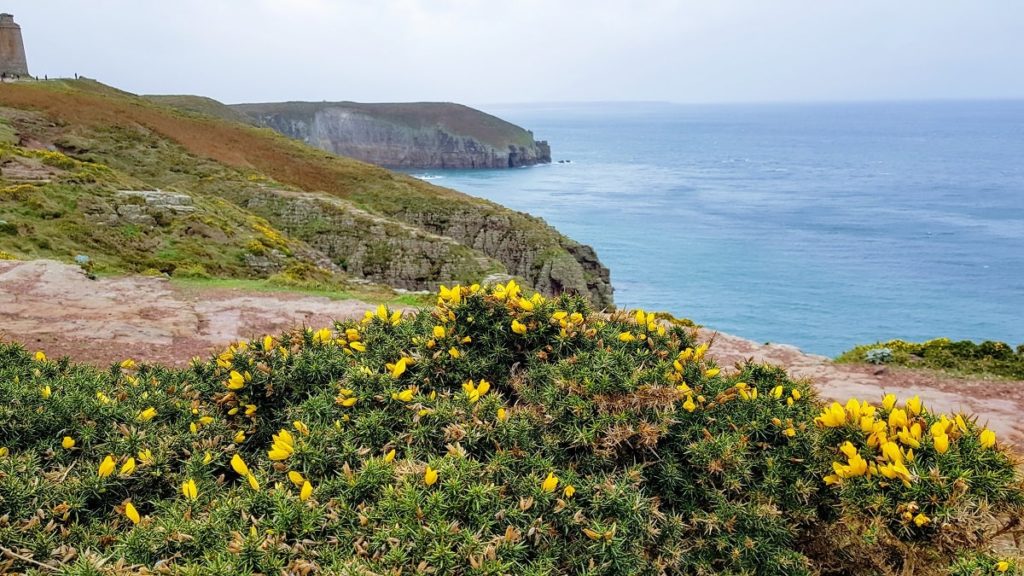 Découverte du Cap Fréhel - Côtes d'Armor