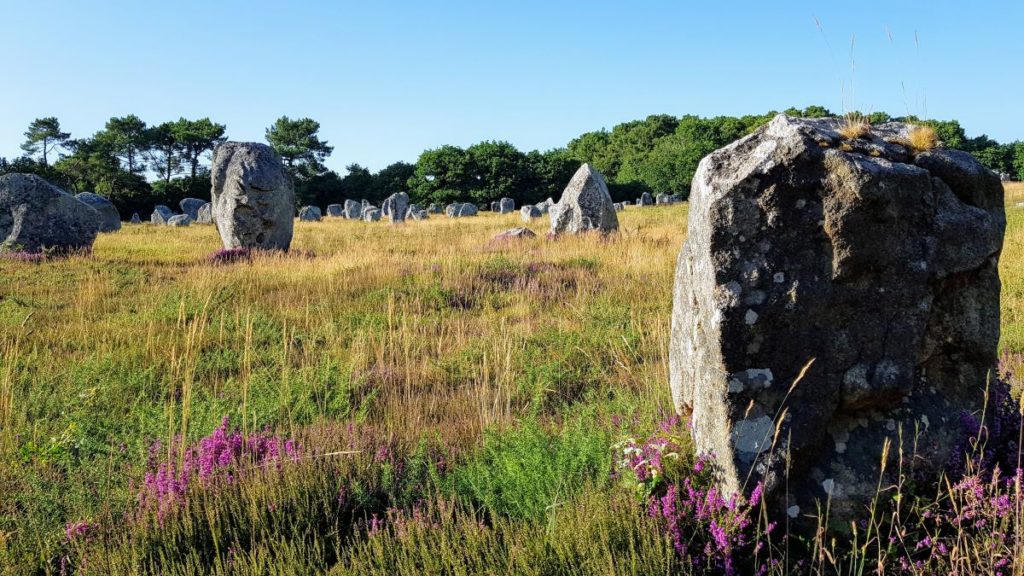 Alignement des menhirs de Carnac / Mégalithes Morbihan