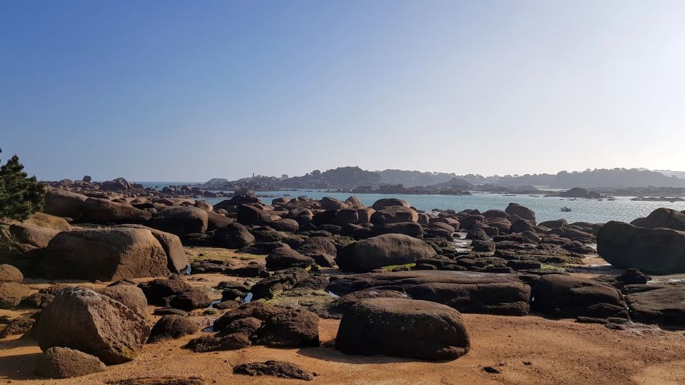 Trégastel : balade à l'île Renote