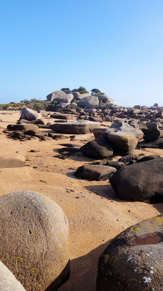 Trégastel : balade à l'île Renote