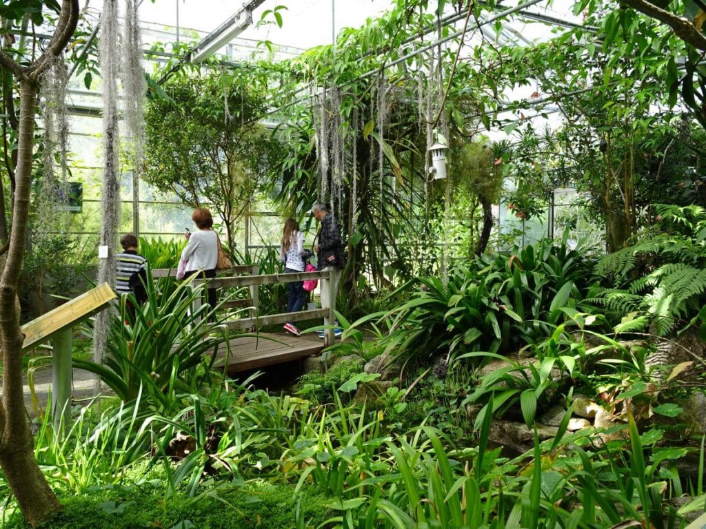 Jardin botanique de Brest