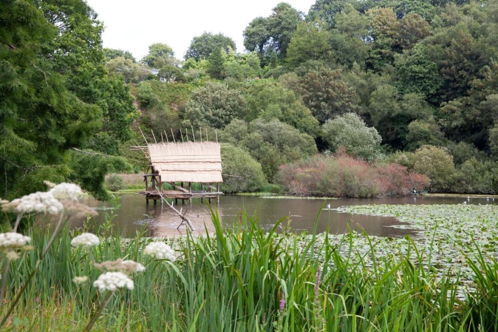 Vallon Stang Alar Jardin botanique de Brest