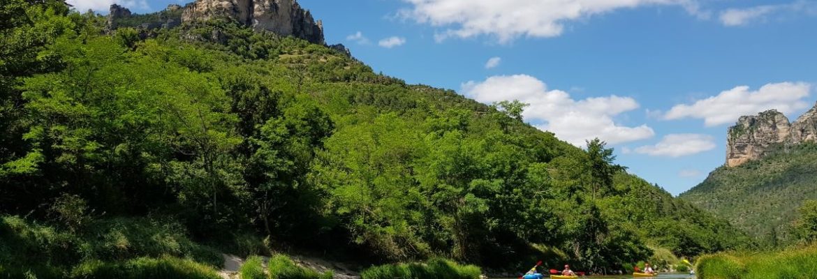 Canoë dans les Gorges du Tarn des Vignes au Rozier