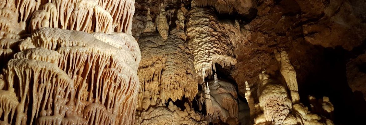 Visite de la Grotte de Dargilan