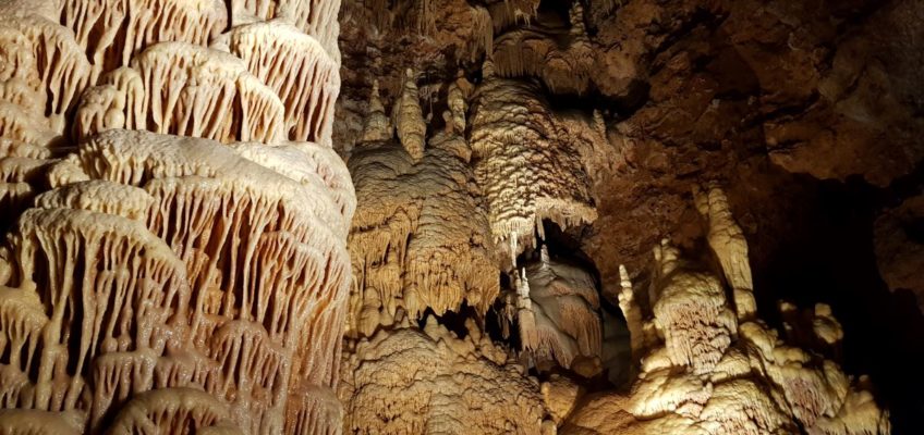 Visite de la Grotte de Dargilan