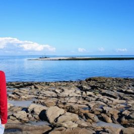 Quiberon : pointe du Conguel