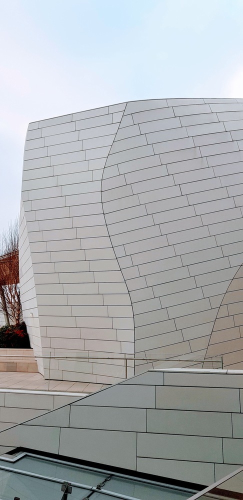 Architecture- Fondation Louis Vuitton