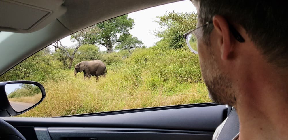 conduire dans le parc Kruger en Afrique du Sud